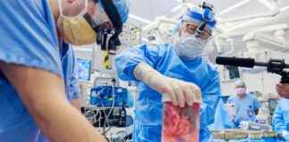 Advancements in Xenotransplantation: Gene-Edited Pig Kidney Successfully Transplanted – Latest Update advancements-in-xenotransplantation-gene-edited-pig-kidney-successfully-transplanted-latest-update