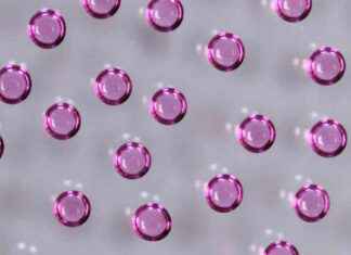 First Baby Born Using Gameto’s New Stem-Cell Technology first-baby-born-using-gametos-new-stem-cell-technology