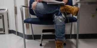 Navigating Health Care: Bird Flu and Gender-Affirming Surgery Impacts navigating-health-care-bird-flu-and-gender-affirming-surgery-mpacts