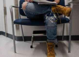 Navigating Health Care: Bird Flu and Gender-Affirming Surgery Impacts navigating-health-care-bird-flu-and-gender-affirming-surgery-mpacts