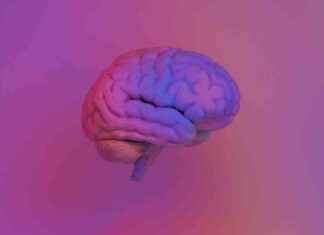 Exploring the Potential Benefits of Epilepsy Medication Beyond Seizure Reduction exploring-the-potential-benefits-of-epilepsy-medication-beyond-seizure-reduction