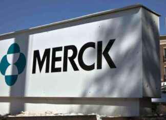 Merck’s New Diabetes Drug Stands Out in the New Year mercks-new-diabetes-drug-stands-out-in-the-new-year
