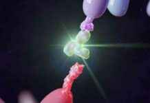 Revolutionizing Cancer Treatment: The Rise of Bispecific Antibodies revolutionizing-cancer-treatment-the-rise-of-bispecific-antibodies