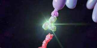 Revolutionizing Cancer Treatment: The Rise of Bispecific Antibodies revolutionizing-cancer-treatment-the-rise-of-bispecific-antibodies