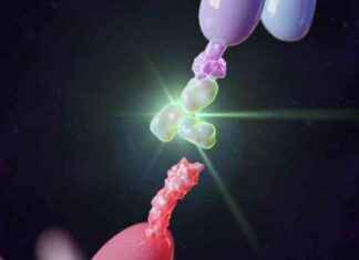 Revolutionizing Cancer Treatment: The Rise of Bispecific Antibodies revolutionizing-cancer-treatment-the-rise-of-bispecific-antibodies