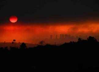 The Impact of Wildfires on Long-Term Health: Risks and Effects the-mpact-of-wildfires-on-long-term-health-risks-and-effects