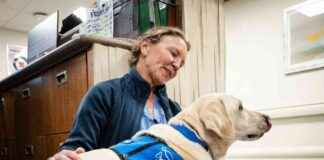 Therapy Dogs in Hospitals: Easing Stress for Staff and Patients – KFF Health News therapy-dogs-in-hospitals-easing-stress-for-staff-and-patients-kff-health-news