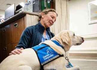 Therapy Dogs in Hospitals: Easing Stress for Staff and Patients – KFF Health News therapy-dogs-in-hospitals-easing-stress-for-staff-and-patients-kff-health-news