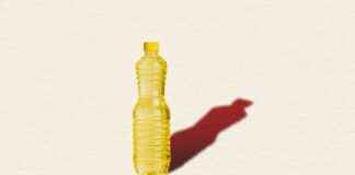 America’s Food System Flaws Exposed by MAHA’s Seed Oil Crusade americas-food-system-flaws-exposed-by-mahas-seed-oil-crusade