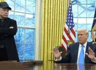 Federal Job Cuts Ordered by President Trump federal-job-cuts-ordered-by-president-trump