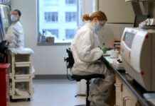 Limited Opportunities for U.S. Scientists Amid Policy Changes limited-opportunities-for-us-scientists-amid-policy-changes