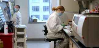 Limited Opportunities for U.S. Scientists Amid Policy Changes limited-opportunities-for-us-scientists-amid-policy-changes