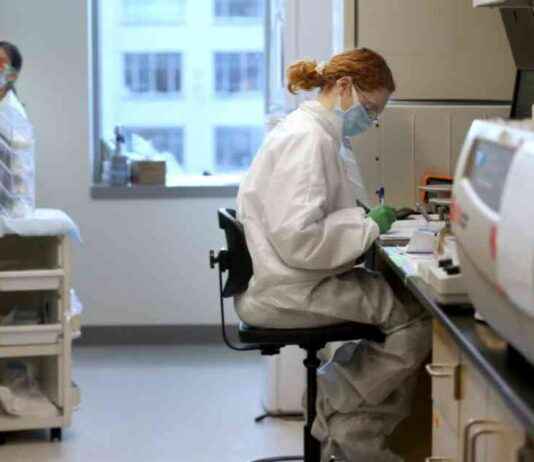 Limited Opportunities for U.S. Scientists Amid Policy Changes limited-opportunities-for-us-scientists-amid-policy-changes