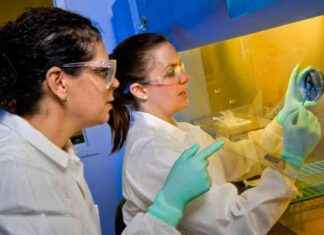 Save Two Vital Programs, Urges Former CDC Director save-two-vital-programs-urges-former-cdc-director