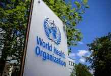 WHO-led Flu Vaccine Meeting: Will U.S. Attend? who-led-flu-vaccine-meeting-will-us-attend