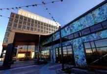 Boston Real Estate Market Experiences Additional Ginkgo Downsizing boston-real-estate-market-experiences-additional-ginkgo-downsizing