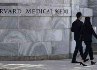 Lawsuit Filed by Harvard Medical Physicians Over LGBTQ Article Removal lawsuit-filed-by-harvard-medical-physicians-over-lgbtq-article-removal