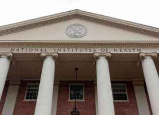 NIH Summer Internship Program Cancelled due to COVID-19 nh-summer-nternship-program-cancelled-due-to-covd-19