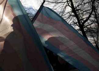 NIH terminates grants for LGBTQ+ research studies nh-terminates-grants-for-lgbtq-research-studies