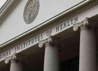 NIH Terminates Research Grants, Defying Court Orders nh-terminates-research-grants-defying-court-orders