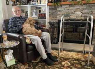 Patients Avoid Wait for Rehab Beds – Health News Update patients-avoid-wait-for-rehab-beds-health-news-update