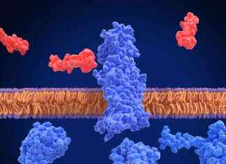 Study: Altimmune Obesity Drug for Alcohol Use Disorder Research study-altimmune-obesity-drug-for-alcohol-use-disorder-research